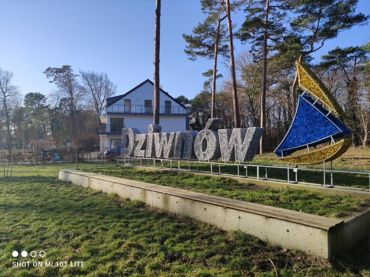 DziwnówDdcアパートメント エクステリア 写真